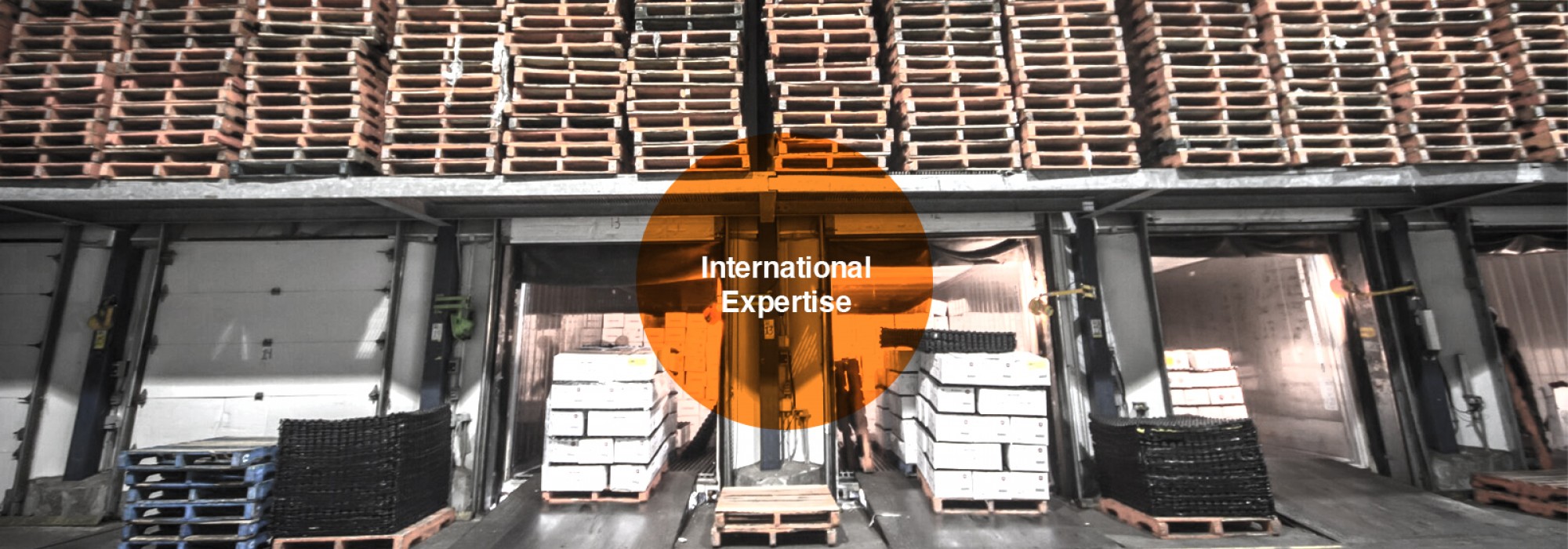 International Expertise