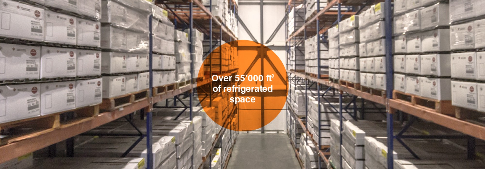 Over 55’000 ft2 of Refrigerated Space