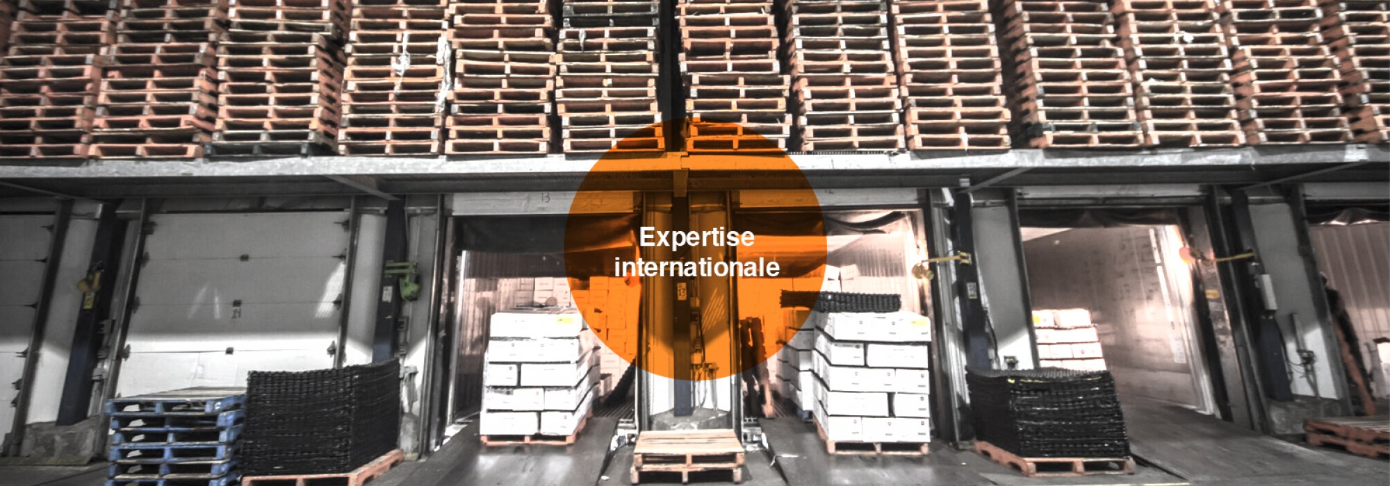 Expertise Internationale